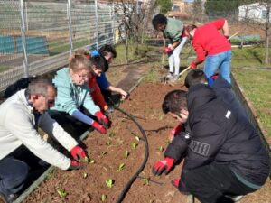 Formación en marcha: Prácticas del curso Emplearte Uno a Uno Jardinería