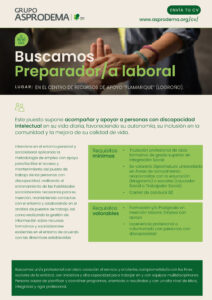 Preparador/a Laboral en el Centro de Recursos de Apoyo “Flamarique”, en Logroño.